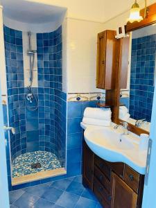 uma casa de banho em azulejos azuis com um lavatório e um chuveiro em Grazioso MONOLOCALE nella villa NOLELU em Ischia