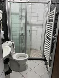 a bathroom with a shower and a toilet and a sink at Deni Apartments in Prilep