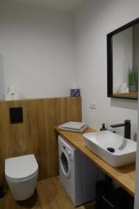 Kúpeľňa v ubytovaní Apartament Loft + 25 fotografií