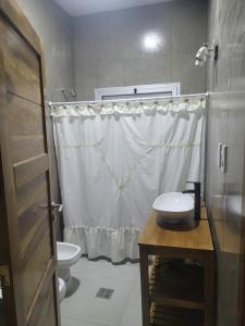 a bathroom with a sink and a toilet and a shower at La cabala in General Alvear