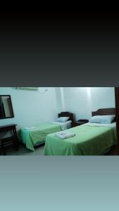 2 Betten in einem Zimmer mit grüner Bettwäsche in der Unterkunft HOTEL FERMOZA in Formosa