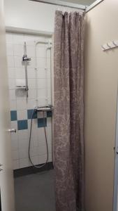 a shower in a bathroom with a shower curtain at Ingala in Inkoo