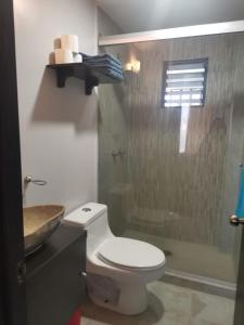 メキシコシティにあるlindo y cómodo departamento familiarのバスルーム(トイレ、洗面台、シャワー付)