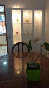 una mesa de madera con una planta en un jarrón. en A 4 cuadras del ORFEO Alto verde 2 dormitorios en Córdoba