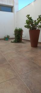 ビヤ・マリアにあるOikos VMの白壁の横に座る鉢植え2本