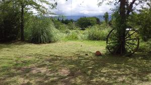 una vieja rueda sentada en un campo junto a un árbol en Arrullo del viento en Villa Yacanto