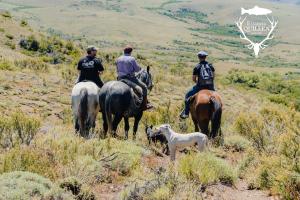 three people riding horses on a hill with a dog at Estancia Quillen Lodge - Hosteria in Aluminé