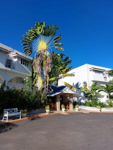 uma palmeira em frente a um edifício em Cozy Villa Escape em Runaway Bay