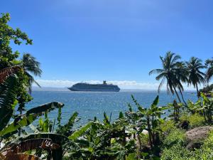 a cruise ship in the ocean with palm trees at Amazing views!! in Santa Bárbara de Samaná