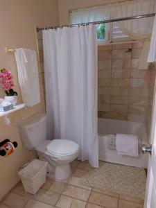 ein Badezimmer mit einem WC, einer Badewanne und einem Duschvorhang in der Unterkunft Cozy Villa Escape in Runaway Bay