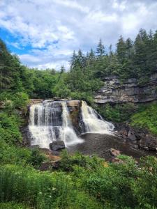 una cascata in mezzo a una foresta di The Davis Ridge a Davis