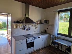 Ett kök eller pentry på Panoramahaus Sauerland