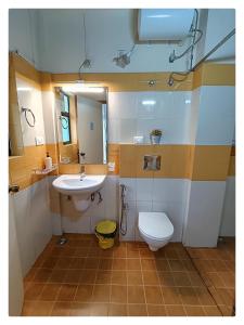 a bathroom with a sink and a toilet and a mirror at Sha Ri Loum Homestay in Shillong