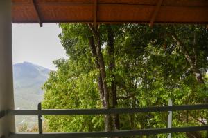 a window with a view of a tree at Blackberry Hills Munnar- Nature Resort & Spa in Munnar