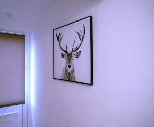 Fotografie z fotogalerie ubytování Rostron House v Manchesteru