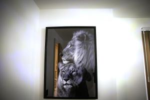 Fotografie z fotogalerie ubytování Rostron House v Manchesteru