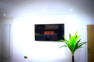 TV a/nebo společenská místnost v ubytování Rostron House