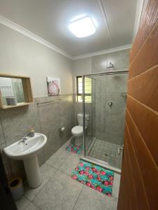 a bathroom with a shower and a sink and a toilet at Sonador Bush House in Marloth Park