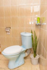 a bathroom with a toilet and a potted plant at Kenai Stay, Secluded 1 bedroom with free parking in Nanyuki