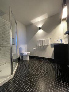 a bathroom with a shower and a toilet and a sink at Thousand Lakes Lodge in Liawenee