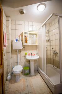 e bagno con servizi igienici, doccia e lavandino. di Apartman Bojana a Vrnjačka Banja