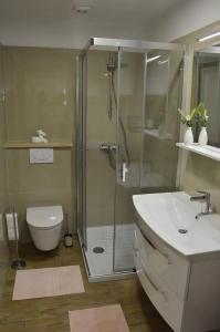 a bathroom with a shower and a sink and a toilet at Old town apartment Popovic in Vrsar +62 photos
