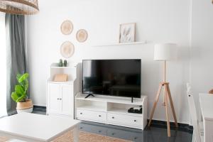 TV a/nebo společenská místnost v ubytování Felipe Antón Suites