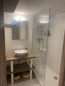 a bathroom with a sink and a shower at Vakantiewoning op Natuurterrein t Heuvelhof met optioneel hottub en sauna in Heuvelland +26 photos