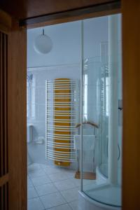 La salle de bains est pourvue d'une douche, de toilettes et d'une porte en verre. dans l'établissement Grüne Villa Wellness & Spa, à Bad Kreuznach