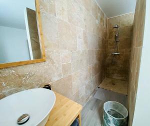 a bathroom with a toilet and a sink and a shower at Villa Bois de couleur Piscine et Toit Terrasse in Saint-Pierre