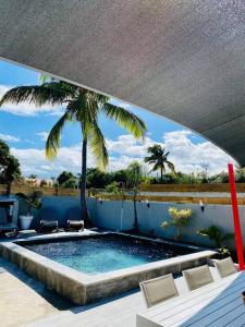 a swimming pool with chairs and a palm tree at Villa Bois de couleur Piscine et Toit Terrasse in Saint-Pierre