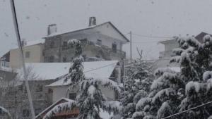 un árbol cubierto de nieve frente a una casa en Villa Maria Aβδέλλα 