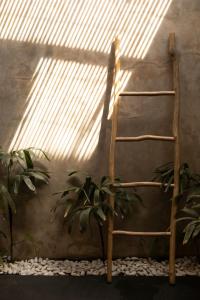 a wooden ladder leaning against a wall with a plant at The Room Padang-Padang in Uluwatu