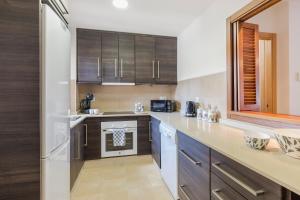 Kuchnia lub aneks kuchenny w obiekcie El Oasis Martinica 8 1A