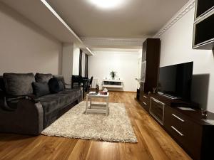 a living room with a couch and a flat screen tv at Terrace apartments otopeni ! in Otopeni