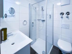普夫龍滕的住宿－Wildgrün，带淋浴、卫生间和盥洗盆的浴室