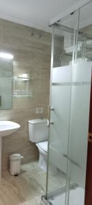 カディスにあるホスタル バイアのバスルーム(トイレ、ガラス張りのシャワー付)