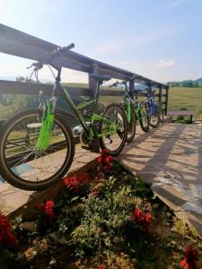 uma fila de bicicletas estacionadas sob um dossel em Pensiunea Crai Nou em Fundata