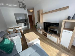a living room with a couch and a tv at Vip Apartament LAUROWA in Tyczyn