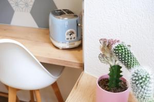 a plant in a pink pot sitting on a table at Appartement thématique: Nature Scandinave in Travers