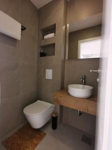 a bathroom with a sink and a toilet and a mirror at Villa Lemon Garden - Apartment in Dubrovnik in Mlini