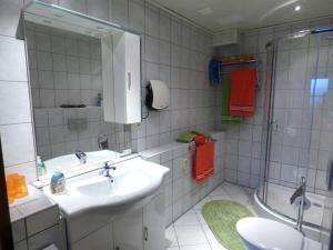 a bathroom with a sink and a shower at Adrett in Hermsdorf