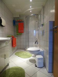 a bathroom with a shower and a toilet and a sink at Adrett in Hermsdorf