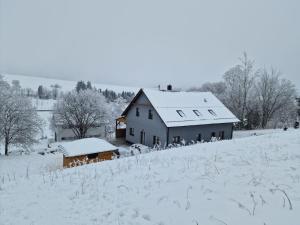 Apartmány Čtyřlístek talvel