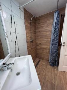 ein Badezimmer mit einem weißen Waschbecken und einer Dusche in der Unterkunft Cabana B2 langa strandul Banffy in Topliţa