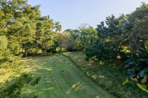 a field of grass with trees in the background at San Lameer Villa 10301 - 4 Bedroom Classic - 8 pax - San Lameer Rental Agency in Southbroom