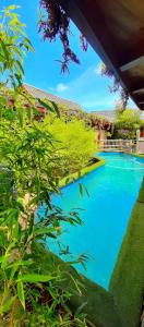 a swimming pool with blue water in a yard at Paradise Private Zen Studios in Knysna