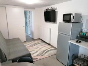 ein Wohnzimmer mit einem Kühlschrank und einem TV an der Wand in der Unterkunft Apartma Pr Urarj in Kobarid