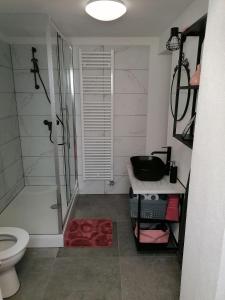 une salle de bain avec une douche, des toilettes et un lavabo dans l'établissement Apartma Pr Urarj, à Kobarid