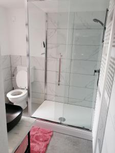 uma casa de banho com uma cabina de duche em vidro e um WC. em Apartma Pr Urarj em Kobarid